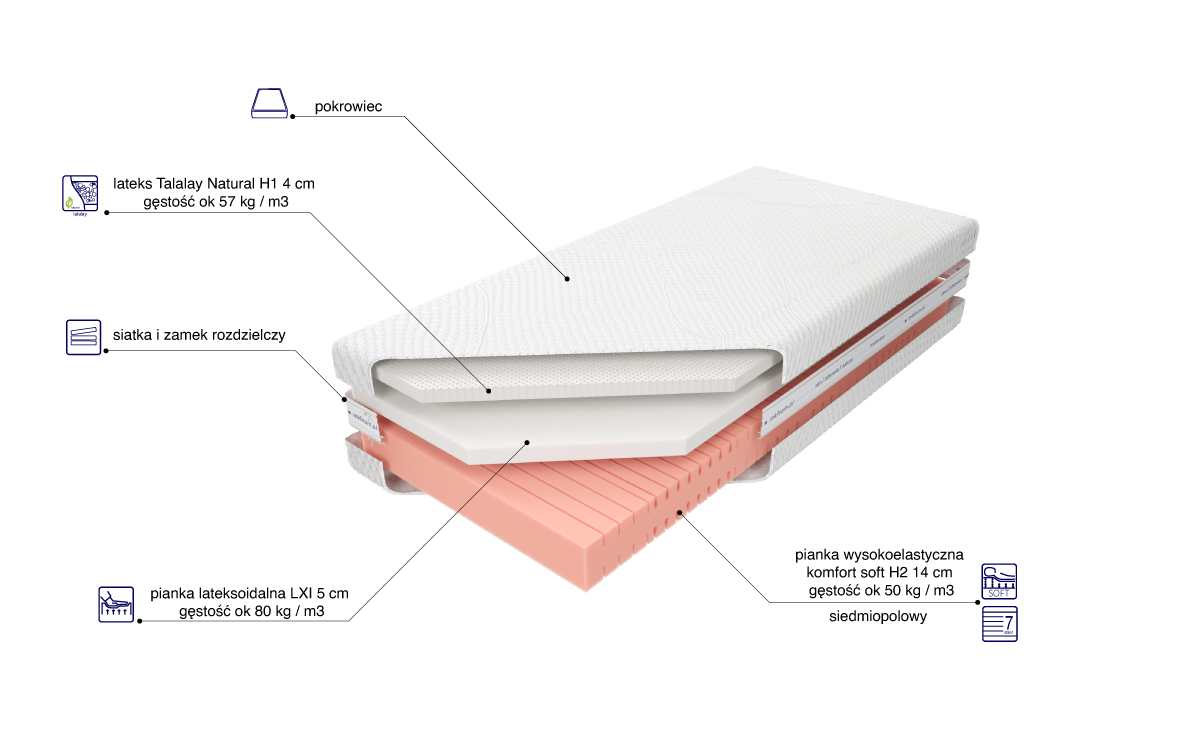 Kontur50 H2 LXI Talalay H1 - obrazek 2