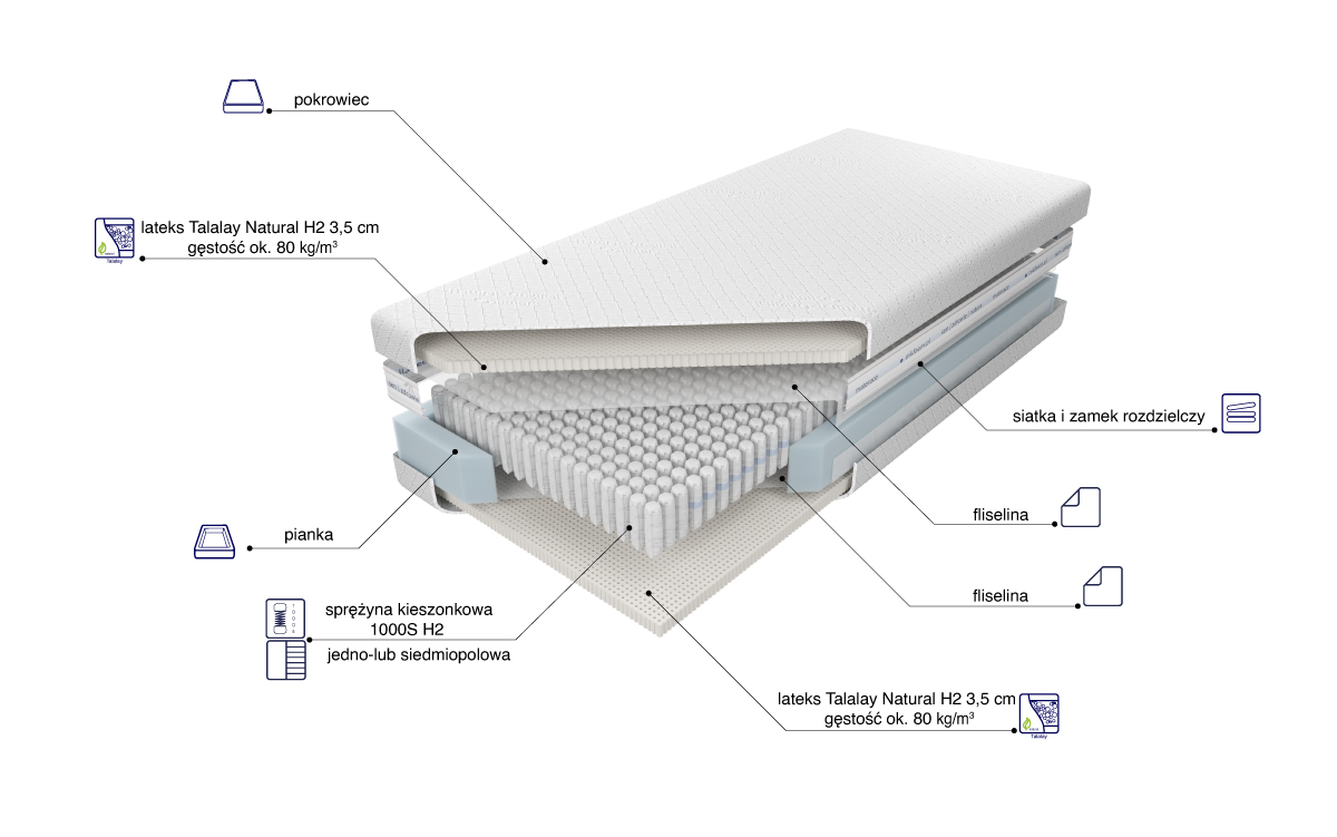 Venus Talalay Natural H2 - obrazek 2