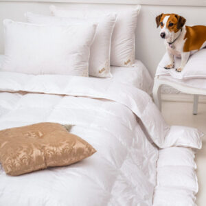 PREMIUM GOLD kołdra City