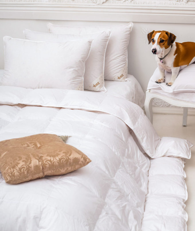 PREMIUM GOLD kołdra City